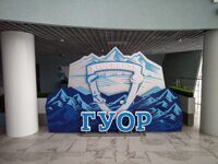 Оформление помещений, интерьерные композиции ( спортивная тематика)